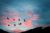 CB_Brand Image_Clouds_Birds_png